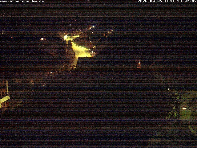 Archiv Foto Webcam Storchennest Bad Waldsee