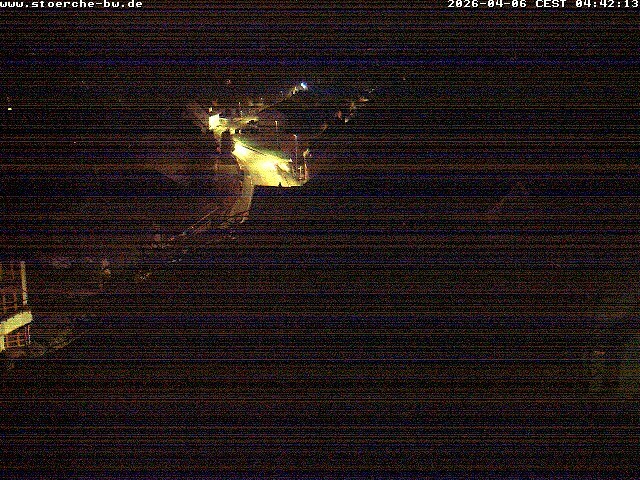 Archiv Foto Webcam Storchennest Bad Waldsee