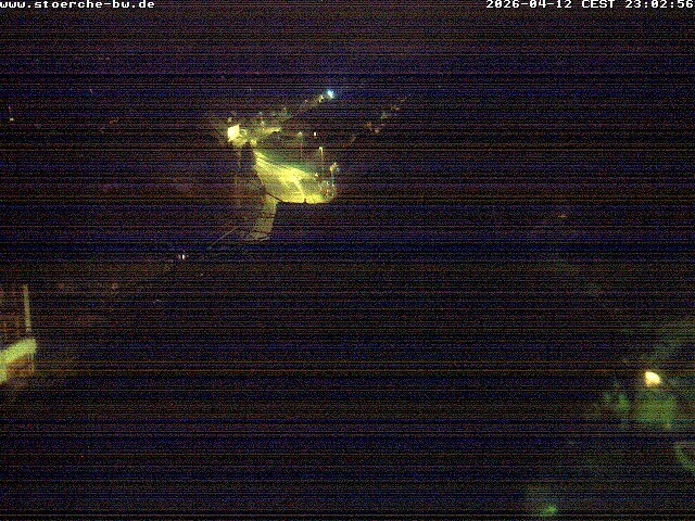 Archived image Webcam Stork's Nest Bad Waldsee