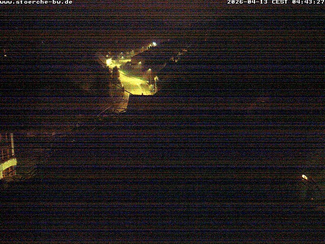 Archived image Webcam Stork's Nest Bad Waldsee