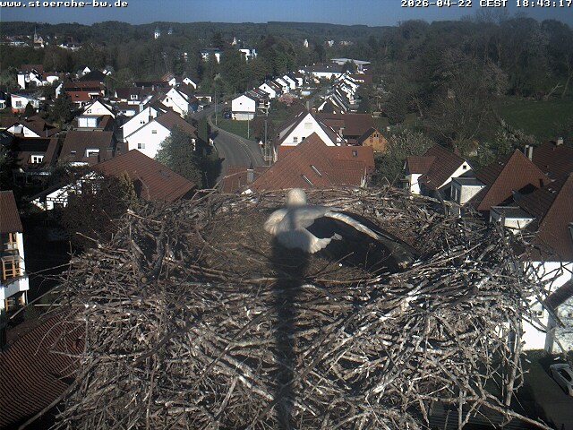 Archiv Foto Webcam Storchennest Bad Waldsee
