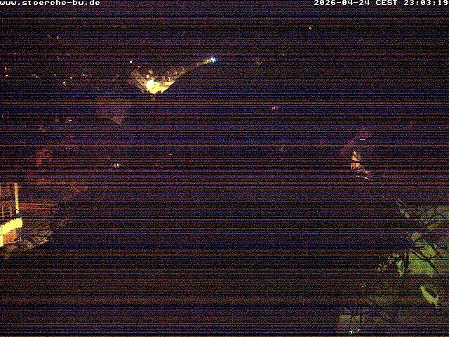 Archiv Foto Webcam Storchennest Bad Waldsee