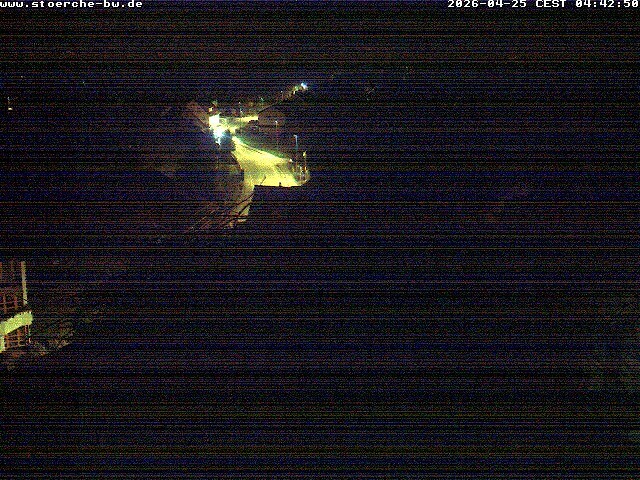 Archiv Foto Webcam Storchennest Bad Waldsee