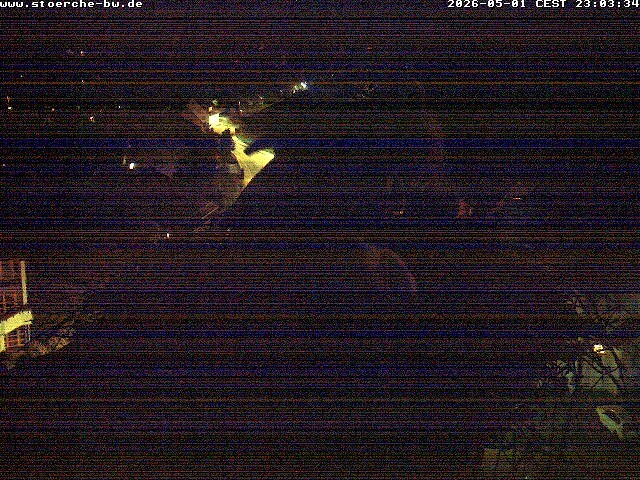 Archiv Foto Webcam Storchennest Bad Waldsee
