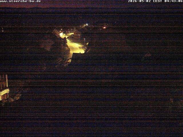 Archiv Foto Webcam Storchennest Bad Waldsee