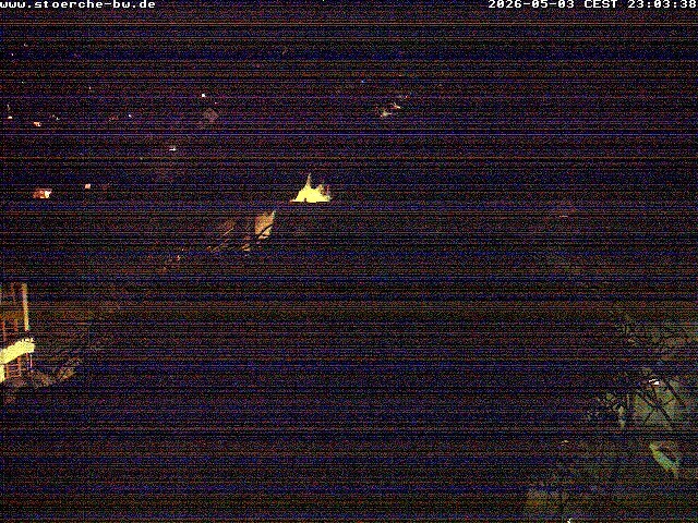 Archiv Foto Webcam Storchennest Bad Waldsee