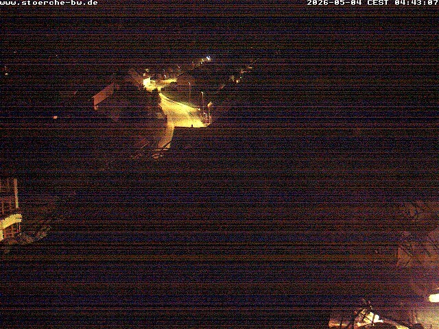 Archiv Foto Webcam Storchennest Bad Waldsee