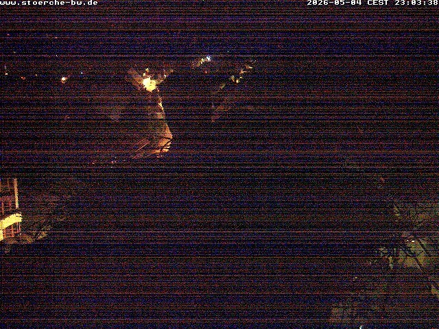 Archiv Foto Webcam Storchennest Bad Waldsee