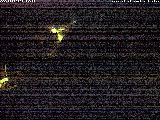 Archiv Foto Webcam Storchennest Bad Waldsee