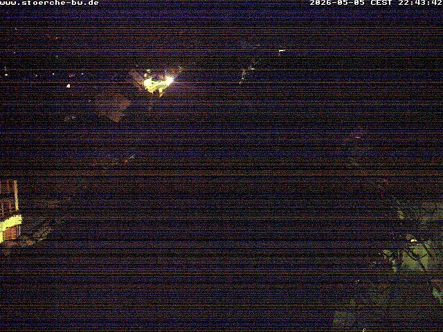 Archiv Foto Webcam Storchennest Bad Waldsee