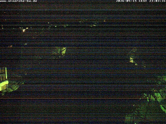 Archiv Foto Webcam Storchennest Bad Waldsee