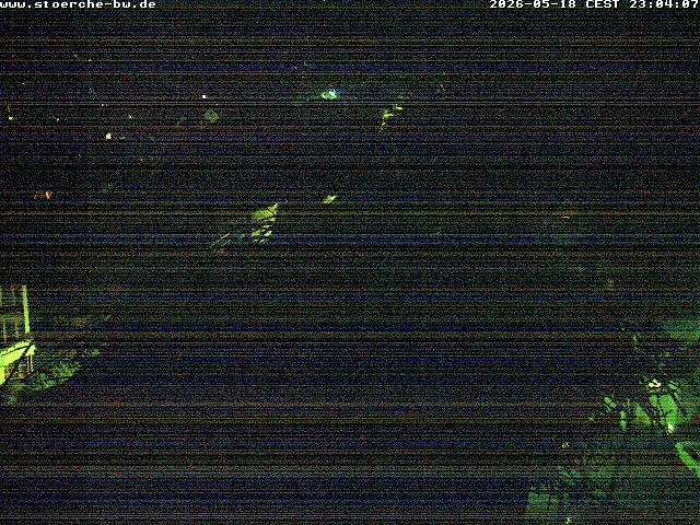 Archiv Foto Webcam Storchennest Bad Waldsee