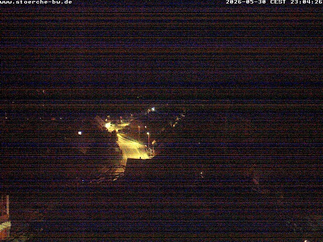 Archiv Foto Webcam Storchennest Bad Waldsee