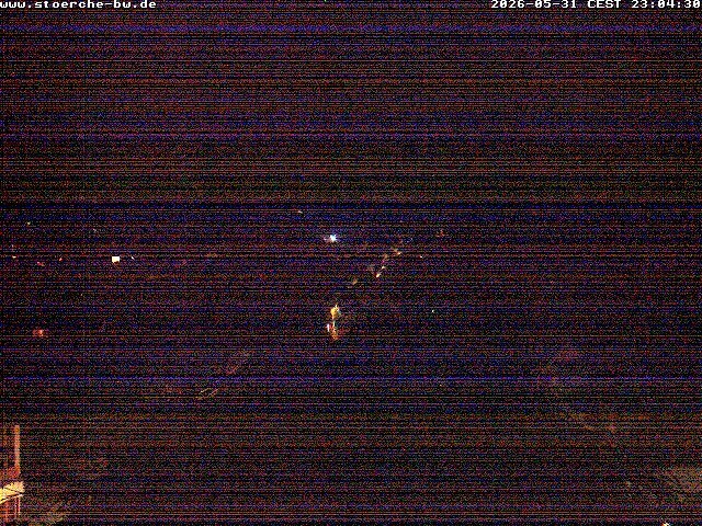 Archiv Foto Webcam Storchennest Bad Waldsee