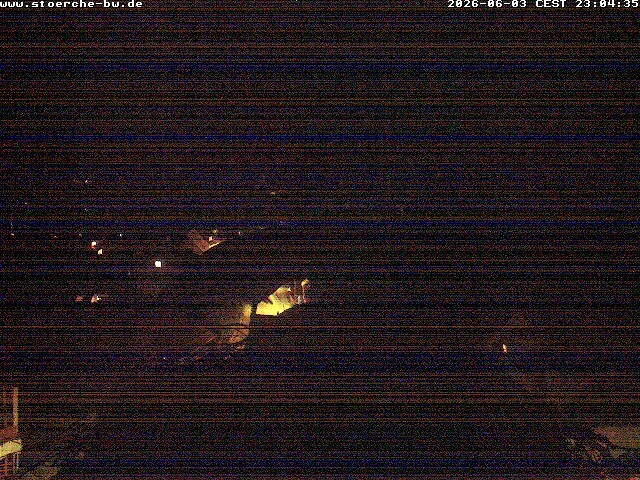 Archiv Foto Webcam Storchennest Bad Waldsee
