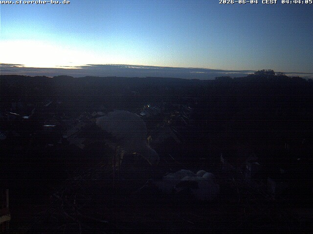 Archiv Foto Webcam Storchennest Bad Waldsee