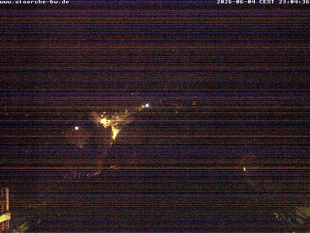 Archiv Foto Webcam Storchennest Bad Waldsee