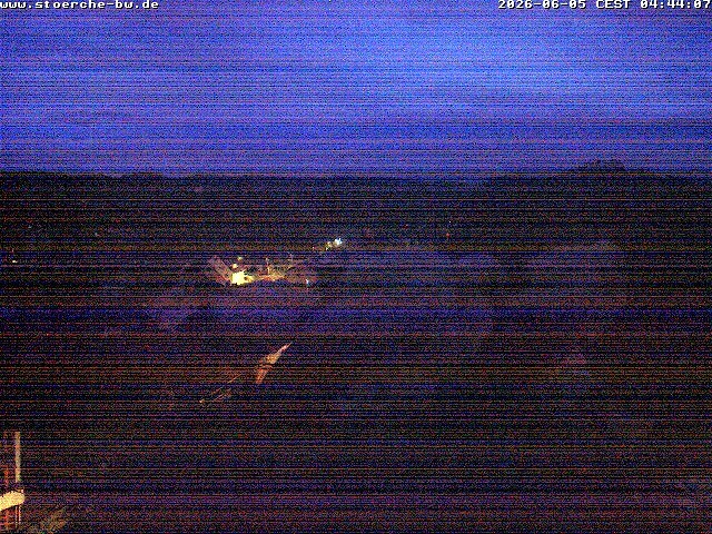 Archiv Foto Webcam Storchennest Bad Waldsee