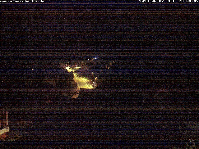 Archiv Foto Webcam Storchennest Bad Waldsee