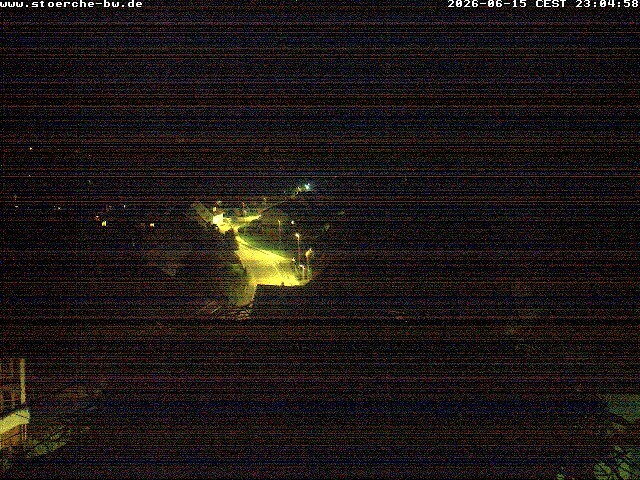 Archiv Foto Webcam Storchennest Bad Waldsee