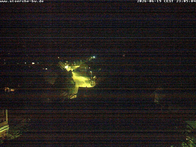 Archiv Foto Webcam Storchennest Bad Waldsee