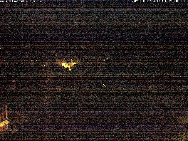 Archiv Foto Webcam Storchennest Bad Waldsee