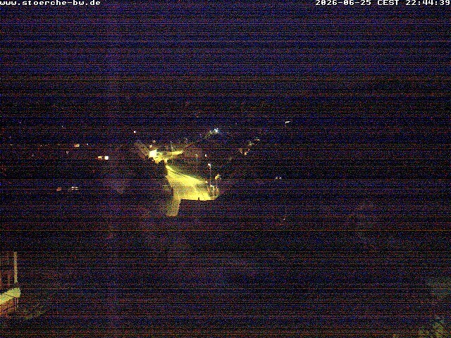 Archiv Foto Webcam Storchennest Bad Waldsee