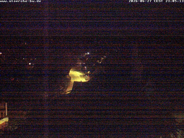 Archiv Foto Webcam Storchennest Bad Waldsee