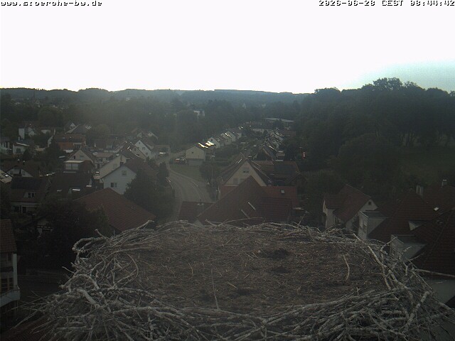 Archiv Foto Webcam Storchennest Bad Waldsee