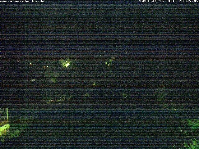 Archiv Foto Webcam Storchennest Bad Waldsee