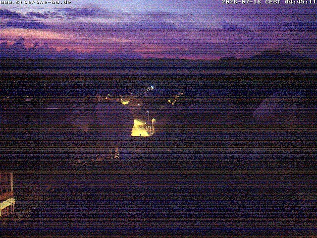 Archiv Foto Webcam Storchennest Bad Waldsee