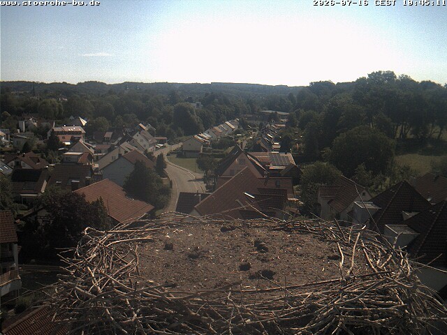 Archiv Foto Webcam Storchennest Bad Waldsee