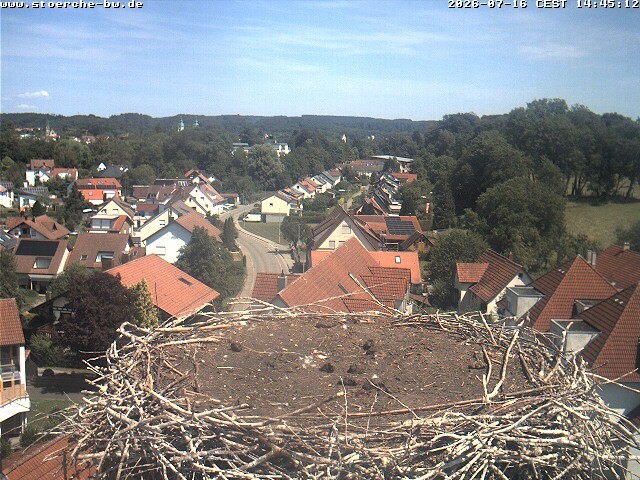 Archiv Foto Webcam Storchennest Bad Waldsee