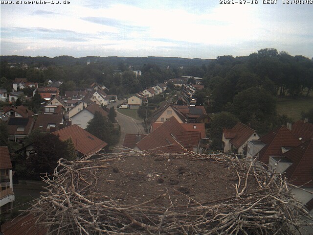 Archiv Foto Webcam Storchennest Bad Waldsee