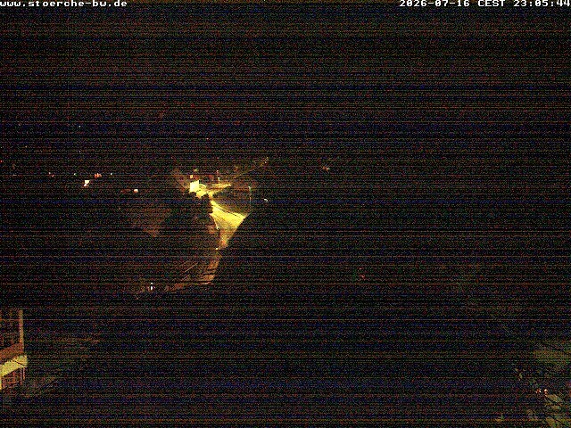 Archiv Foto Webcam Storchennest Bad Waldsee