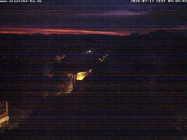 Archiv Foto Webcam Storchennest Bad Waldsee