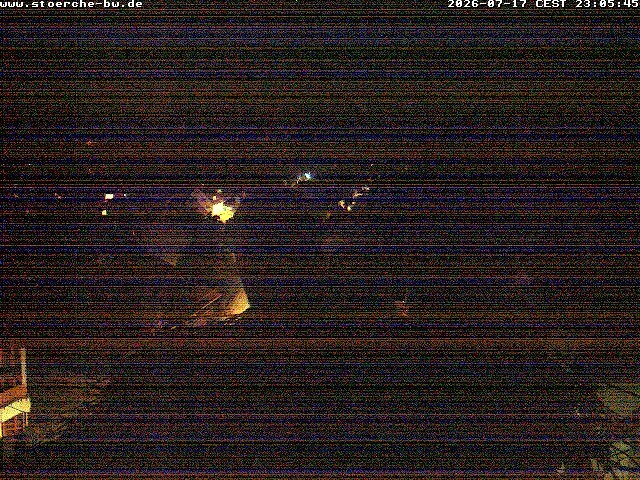 Archiv Foto Webcam Storchennest Bad Waldsee