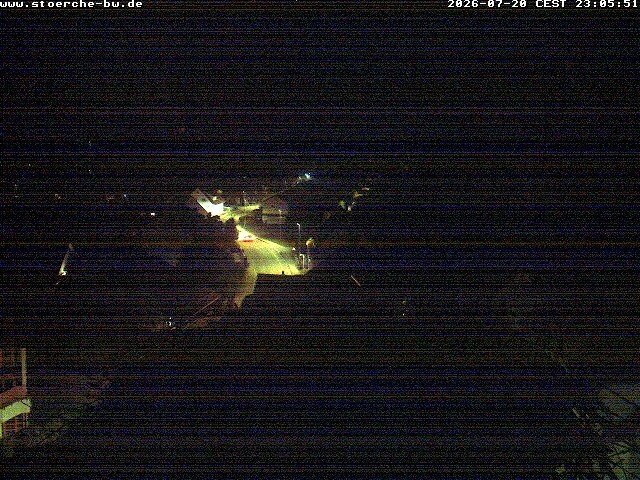 Archiv Foto Webcam Storchennest Bad Waldsee