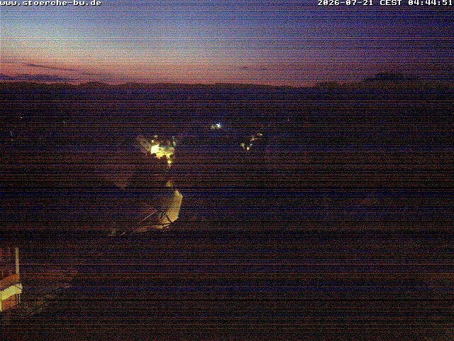 Archiv Foto Webcam Storchennest Bad Waldsee