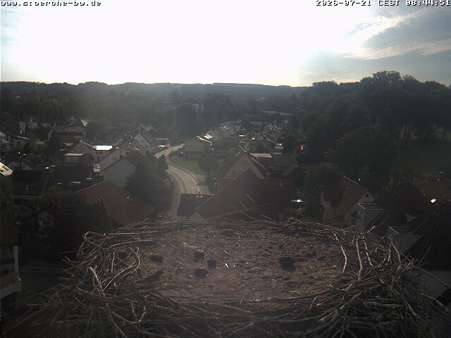 Archiv Foto Webcam Storchennest Bad Waldsee