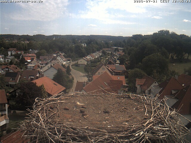 Archiv Foto Webcam Storchennest Bad Waldsee