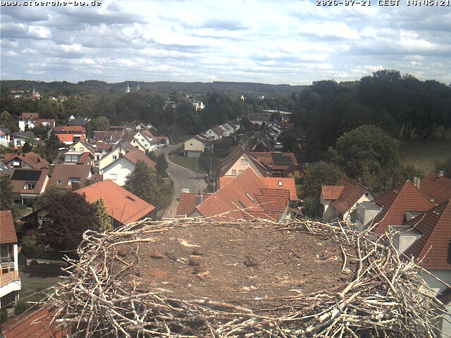Archiv Foto Webcam Storchennest Bad Waldsee