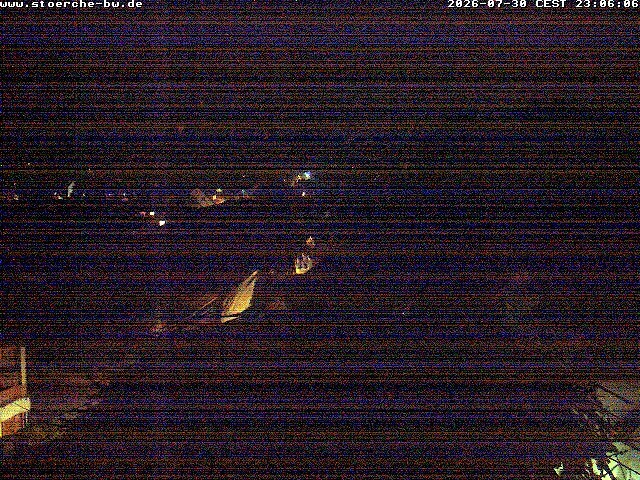 Archiv Foto Webcam Storchennest Bad Waldsee