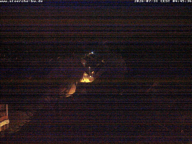 Archiv Foto Webcam Storchennest Bad Waldsee