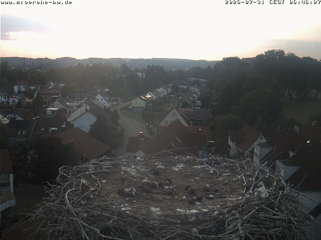 Archiv Foto Webcam Storchennest Bad Waldsee