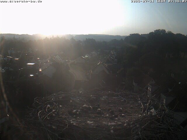 Archiv Foto Webcam Storchennest Bad Waldsee