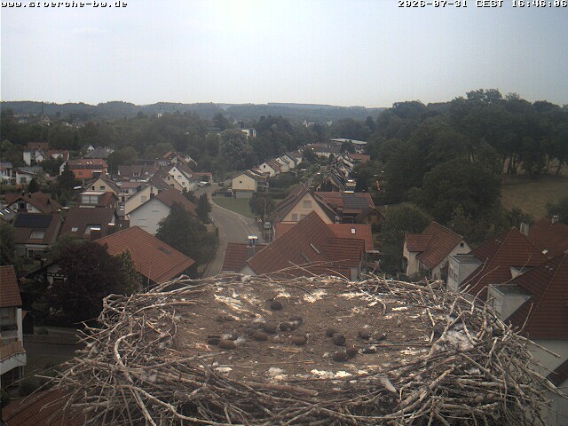 Archived image Webcam Stork's Nest Bad Waldsee