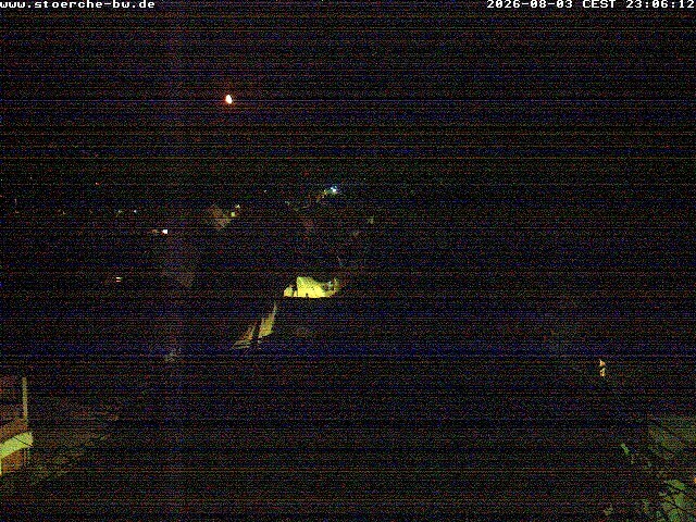 Archiv Foto Webcam Storchennest Bad Waldsee