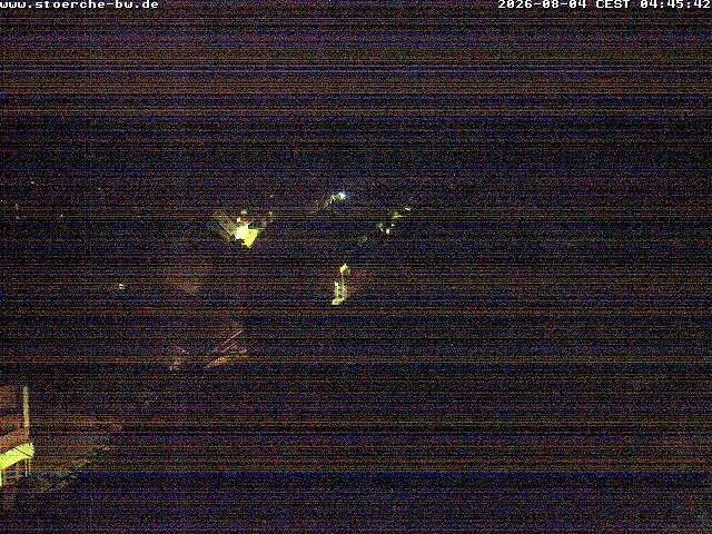 Archiv Foto Webcam Storchennest Bad Waldsee