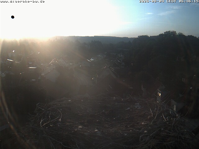 Archiv Foto Webcam Storchennest Bad Waldsee